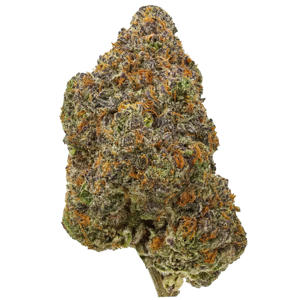 Premium THCA Flower (S) Tres Leches / 1G